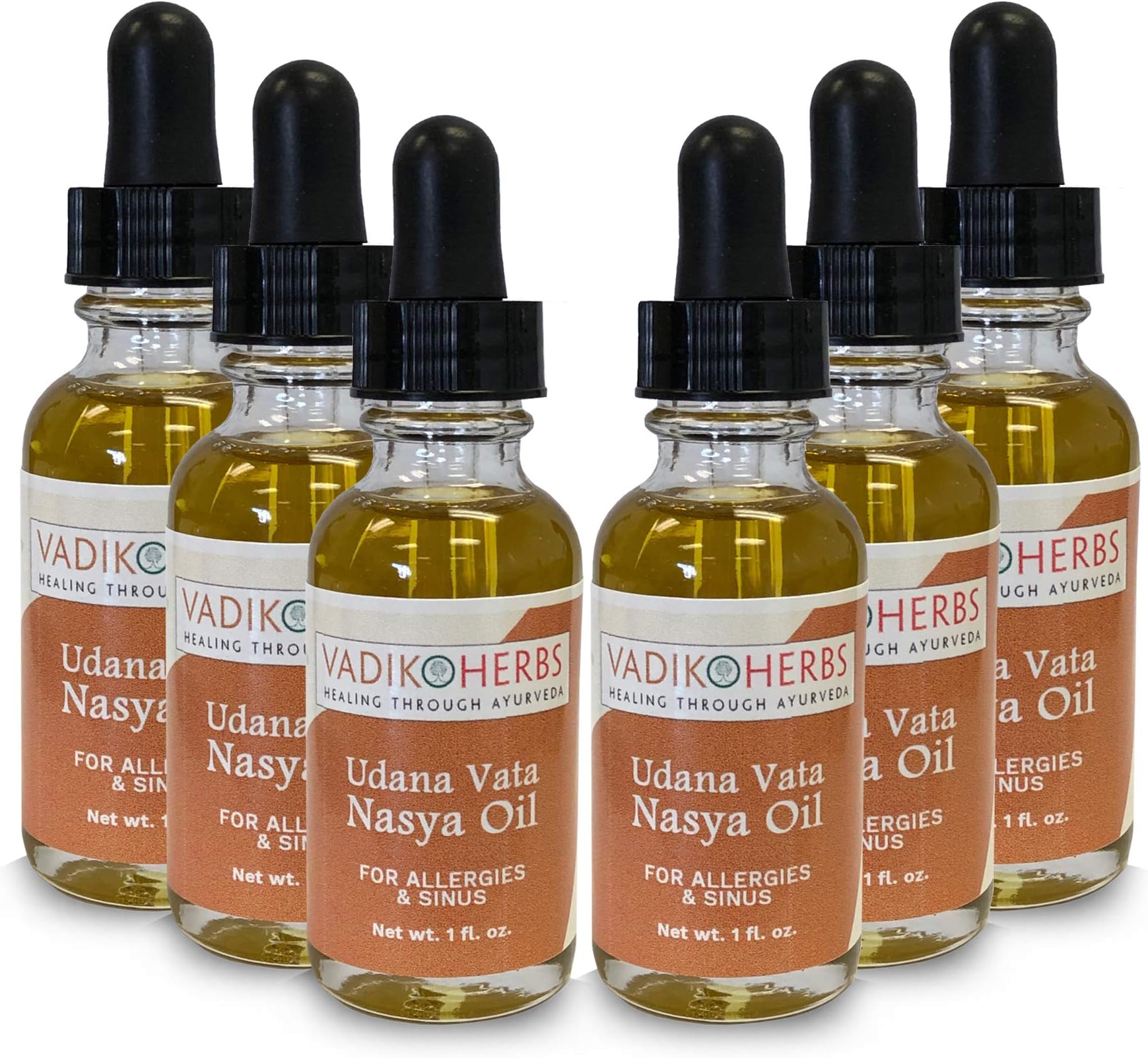 Udana Vata Nasya Oil - Nasal Drops for Allergies, Sinus Conditions, Neck Stiffness | Made with Organic Base Oils and Premium, Wild Harvested Herbs (6 Pack)