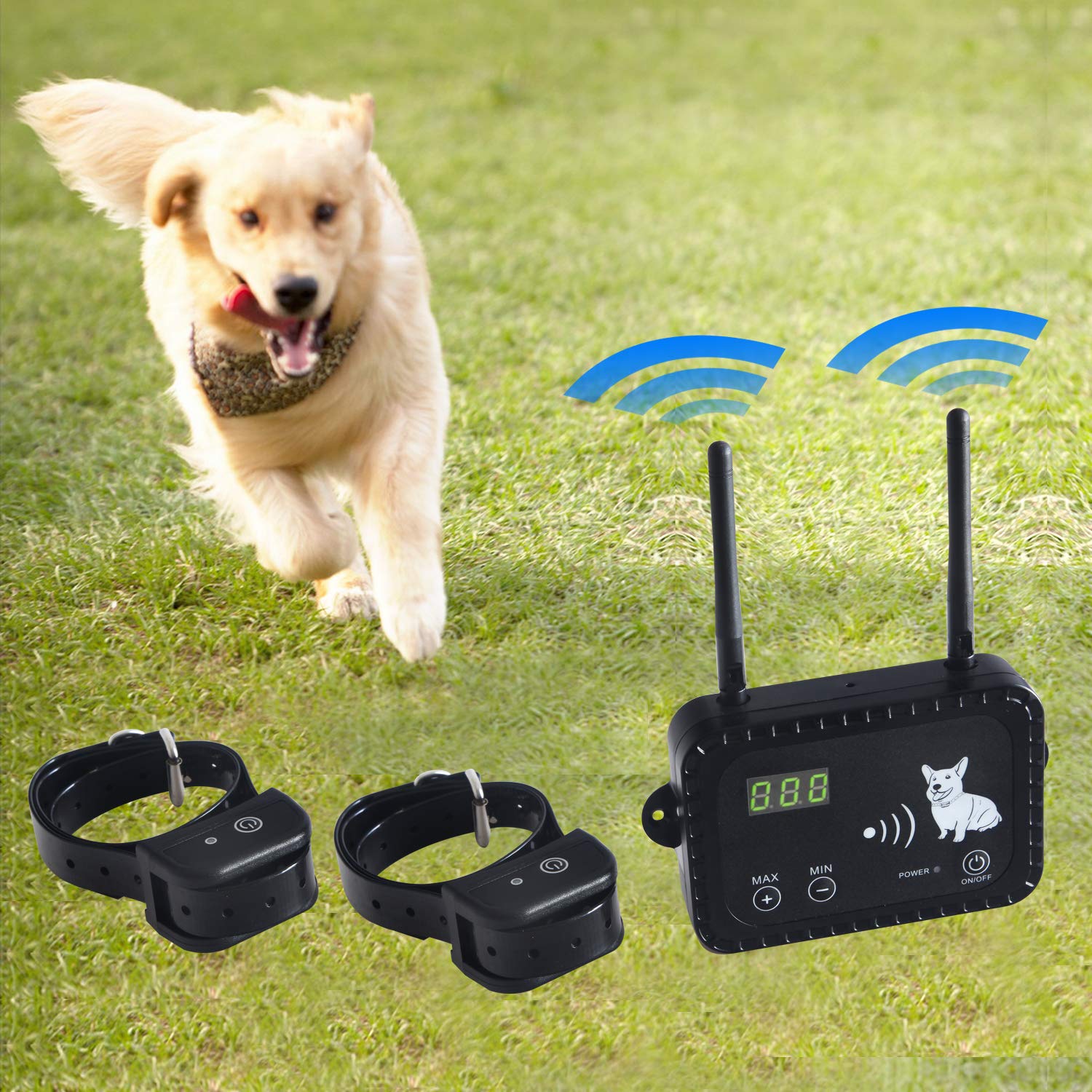 long range wireless dog fence