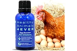 HealthyAnimals4Ever All-Natural Chicken Egg Booster Supplement - Natural Stress Relief to Promote Stronger Eggshells - Homeopathic & Highly Effective - 300 Chicken Egg Strengthening Tablets