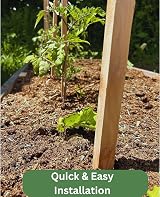 Homatz 10 Pack Wooden Garden Stakes 1.5m 5ft 32mm Thick Pressure Treated view 3