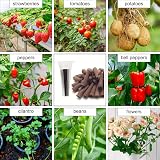 Windspeed 150P Grow Sponges Hydroponics Seed Pod Kit 50 Sponges 24 Baskets 24 view 7