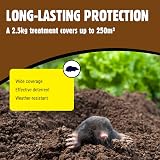 The Big Cheese Mole Scatter Granules 2.5kg Humane Deterrent view 6