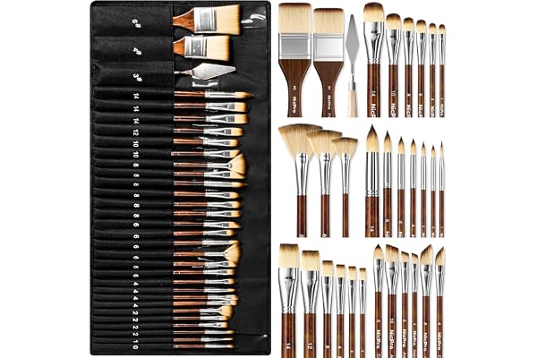 Nicpro 30pcs Paint Brush Set, Professional Paintbrushes with Paint Spatula, Craft Paint Brushes for Acrylic Painting, Oil, Wa