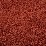 THE RUGS Living Room Shaggy Rug 60x110 cm Terra Modern Carpets view 4