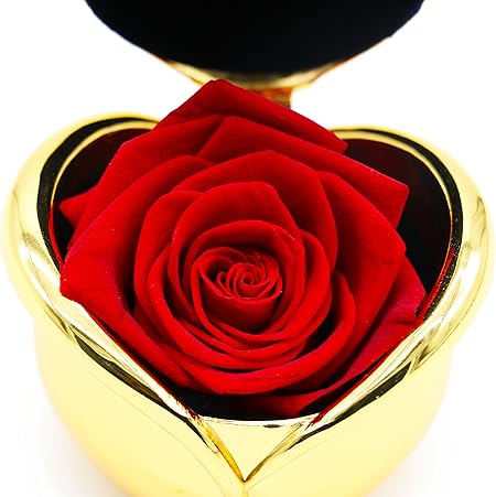 Regali Di Natale Per Zia.Sgift Regali Per Mamma Conserve Fiori Rosa Vera Con Biglietto D Auguri Anniversario Regalo Di Compleanno Per Moglie Madre In Legge Come Regalo Di Natale Unico Idea Regalo Per Donne Nonna Zia