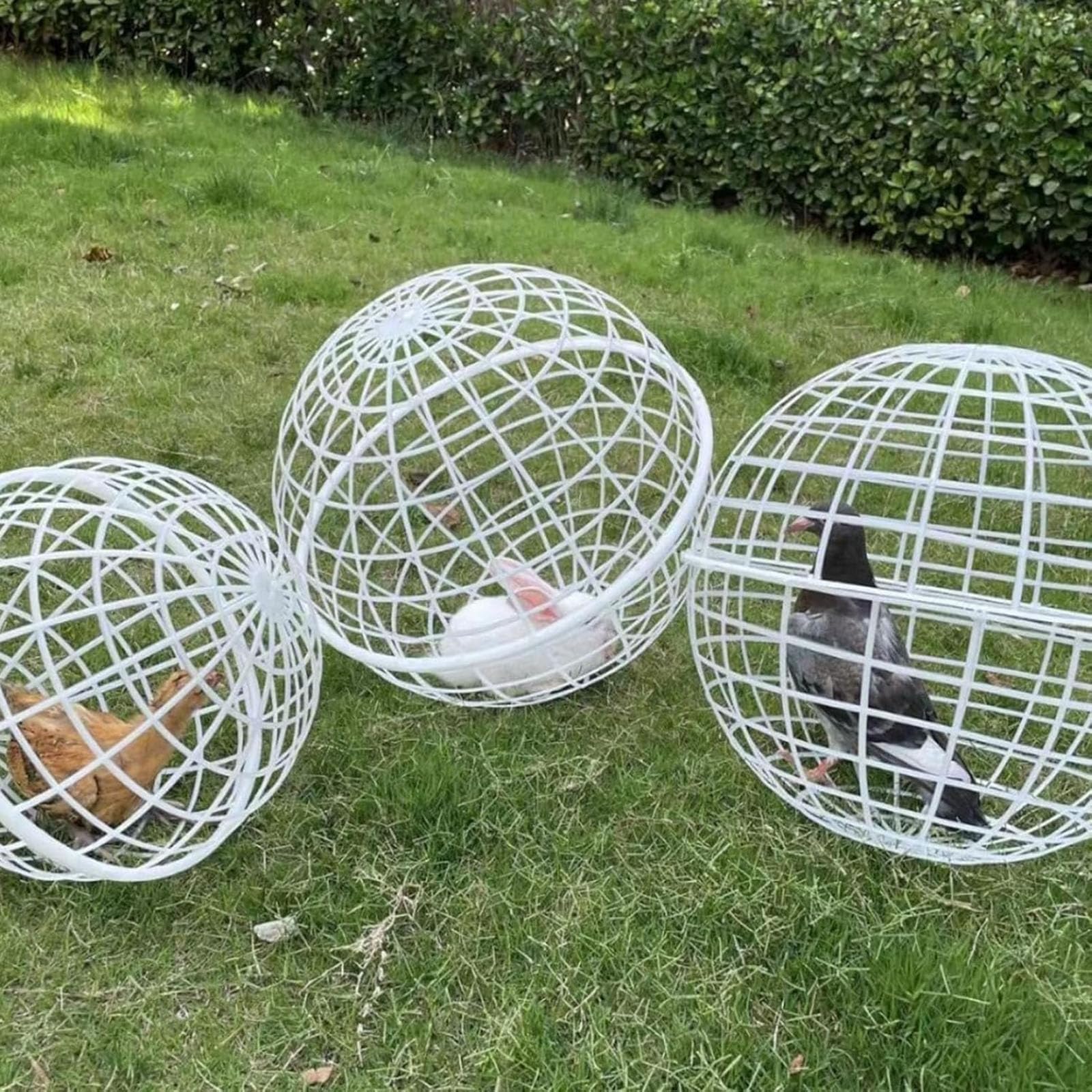 Photo 1 of 2 Pack Movable Chicken Ball Cage, Outdoor Round Chicken Tunnel Coop, Safety Rolling Orb Cage for Rabbits Ducks Pigeons Chicks, Farm Courtyard Use,L,White