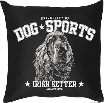 Setter Irlandais Motif Coussin Pour Chien Avec Coussin