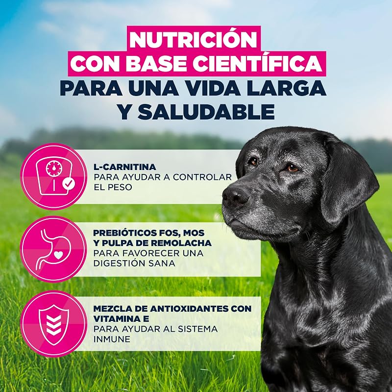 , alimento para Edad Avanzada con Pollo Fresco para Razas Grandes - Alimento seco Premium para Perros Senior, 3 kg