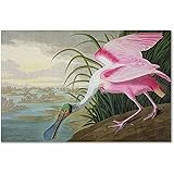 Trademark Fine ArtRoseate Spoonbill Artwork by John James Audubon, 16 by 24-Inch