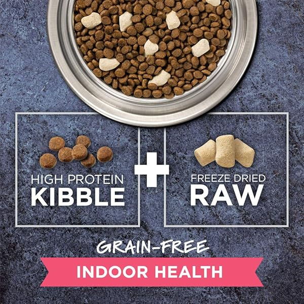 INSTINCT RAW BOOST INDOOR HEALTH, NATURAL DRY CAT FOOD WITH FREEZE DRIED PIECES, GRAIN FREE RECIPE – REAL RABBIT, 4.5 LB. BAG