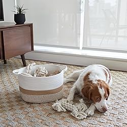 Stylish Cotton Rope Storage Basket For Dog