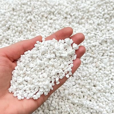 bhomescent Premium Horticultural Perlite 3–5mm 10L Fresh Packed