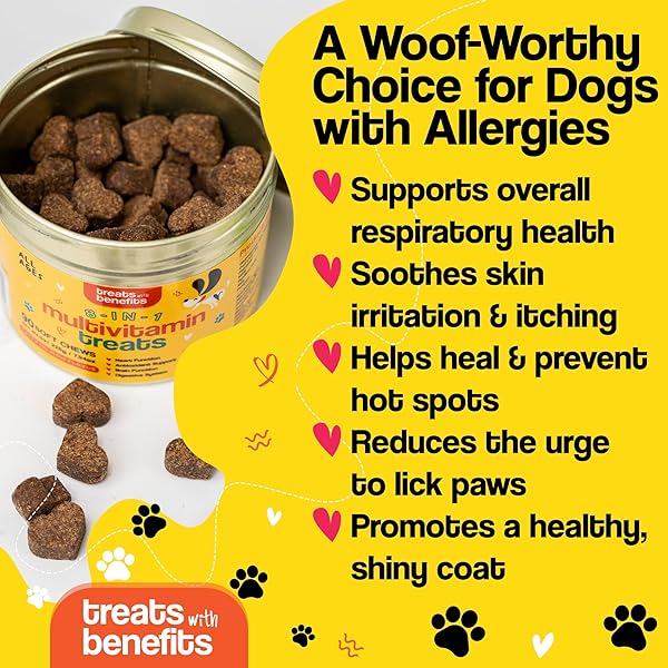 TREATS WITH BENEFITS DOG ALLERGY RELIEF – 8 IN 1 MULTIVITAMIN DOG CHEWABLES FOR SENIOR DOGS ALLERGIES – ANTIOXIDANT SUPERFOOD PET VITAMINS FOR DIGESTION, HIP, JOINT, HEART, BRAIN HEALTH, 90 SOFT CHEWS