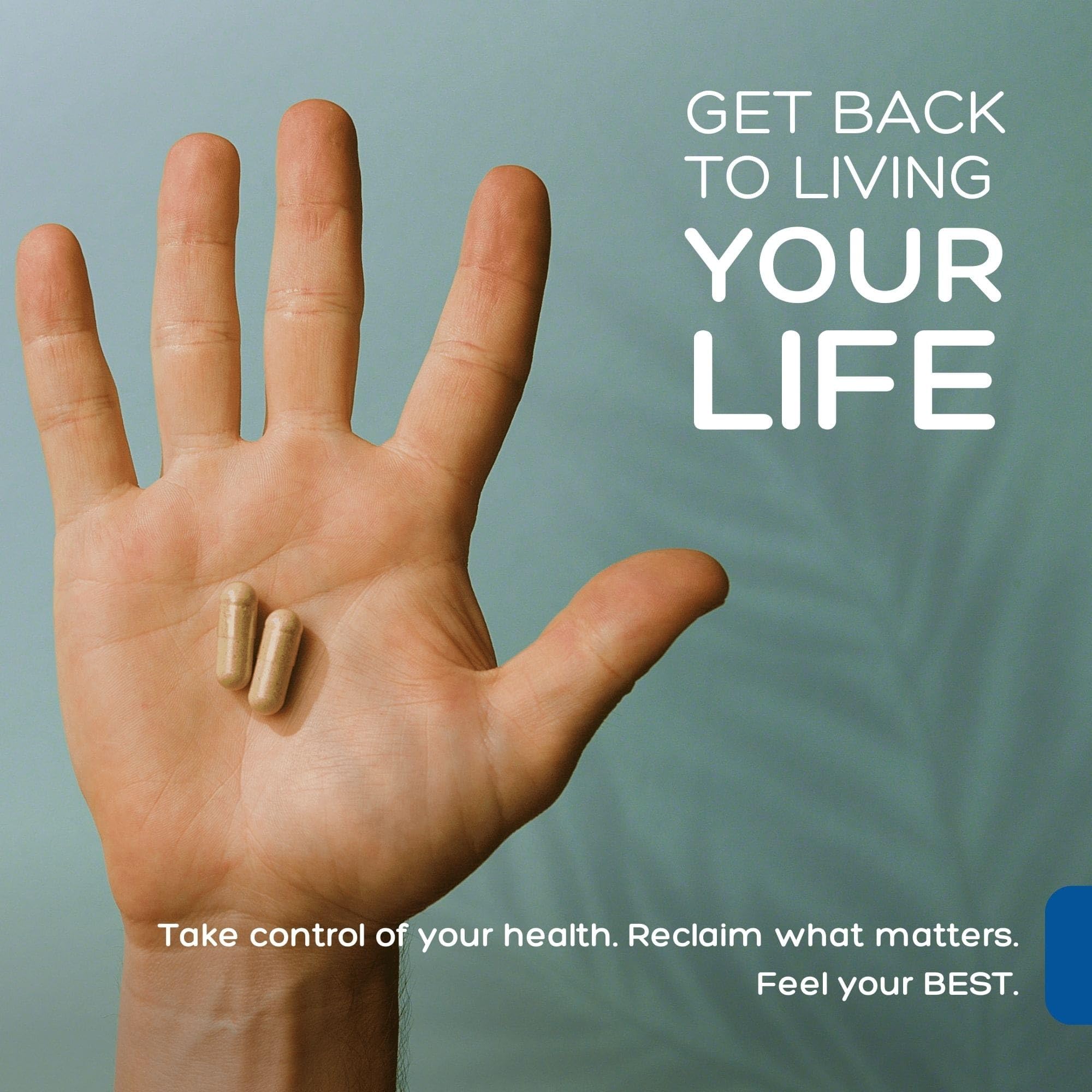 Natural Cure Labs Premium Immune Support