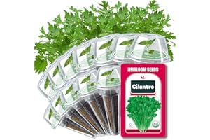 HIHOYA Cilantro Seed Pods for All Hydroponics Growing Systems, 12 Pods Herb Kit with 200+ Seeds of Cilantro, Grow Your Own Herb Garden at Home