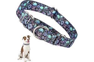 ONEFOJOJO Martingale Collar for Dogs, Skull Dog Collar for Large Medium Small Dogs, Adjustable Premium No Slip Collar for Girl or Boy Dogs-Prevents Slipping Out (L)