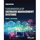 Fundamentals of Database Management Systems