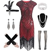 WILDPARTY 1920s Women Flapper Dresses Sequin Dresses Vintage Lace Fringed Cocktail Dress with 20s Accessories Set