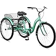 Schwinn Meridian