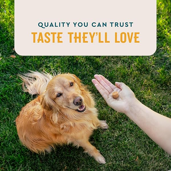 VETIQ FLEA & TICK SUPPORT FOR DOGS, FLEA AND TICK CHEWABLE, SUPPORTS DOG’S NATURAL FLEA DEFENSES, FREE OF ADDED CHEMICALS AND GARLIC, HICKORY SMOKE FLAVOR, 60 COUNT