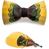 RBOCOTT Handmade Feather Pre-tied Bow tie and Brooch Sets for Men