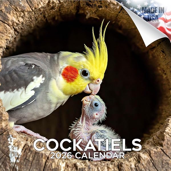 Cockatiels Calendar - 2019 Wall Calendars - Bird Calendars - Monthly - View #3