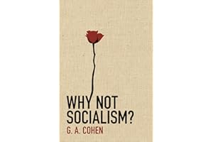 Why Not Socialism?