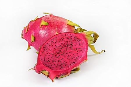 CooPany RARE VARIETY RED FLESH DRAGON FRUIT SEEDS 30 SEEDS