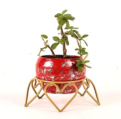 Roots & Shoots Metal 4 Inch Designer Polka With Gold Heart Stand For Tabletop For Home Decor And Indoor Gardening (Red) Metal Pots For Indoor Plants I Elevated Garden Planter I Raised Planter I Desk Plant I Raised Planter Box I Ascent Homes Metal Planter I Raised Planter Box With Legs I Brass Pots For Indoor Plants I Golden Planter I Mid Century Plant Stand I Brass Planters For Indoor Plants I Indoor Plant Stand For Living Room I Metal Planters Pot For Indoor P