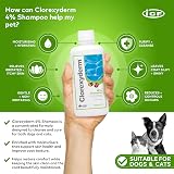 ICF Clorexyderm 4% Dog Shampoo Anti Itch Antibacterial 200ml view 4