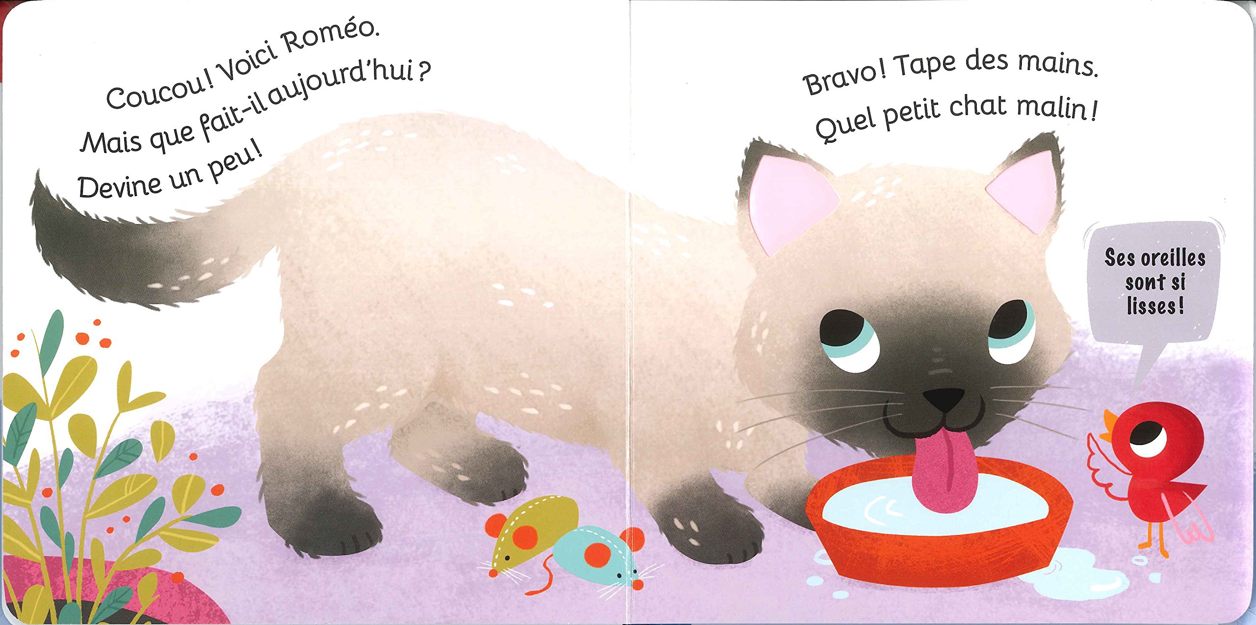 Bravo Petit Chat Livre Avec Matieres A Toucher Patapon French Edition Kushnir Hilli Amazon Com Books