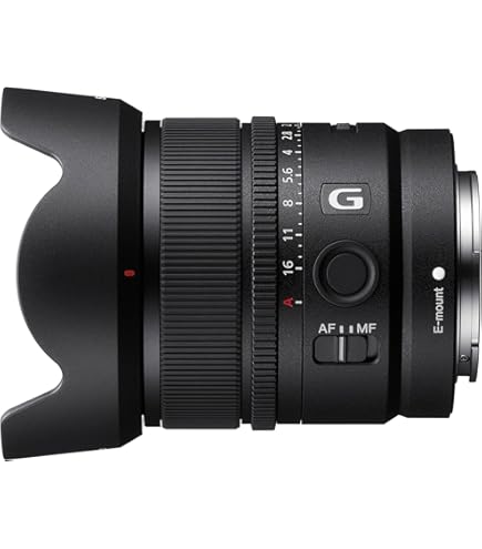 Amazon.com : Sony E 15mm F1.4 G APS-C Large-Aperture Wide-Angle G