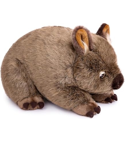 Amazon.com: Wild Republic Pocketkins Eco Wombat, Stuffed Animal, 5