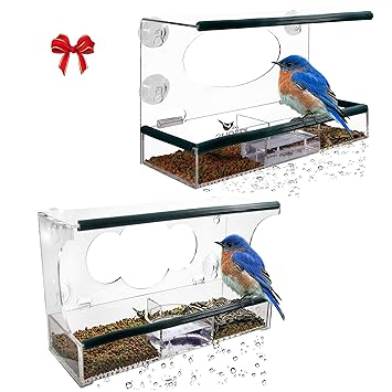 Birdious Wild And Deluxe Window Bird Feeders Enjoy Unique Watch