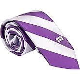 Desert Cactus Texas Christian University Neck Tie TCU Horned Frogs 100% Polyester Necktie with Logo, Officially Licensed