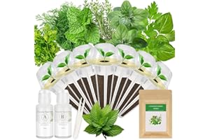 MAJERO Gourmet Herbs Seed Pod Kit for AeroGarden, iDoo, Ahopegarden, MUFGA Hydroponics Garden with Basil, Parsley, Thyme, Mint, Cilantro, Dill, Oregano - Compatible with All Hydroponics (7-Pod)