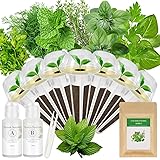 Gourmet Herb Seed Pod Kit for