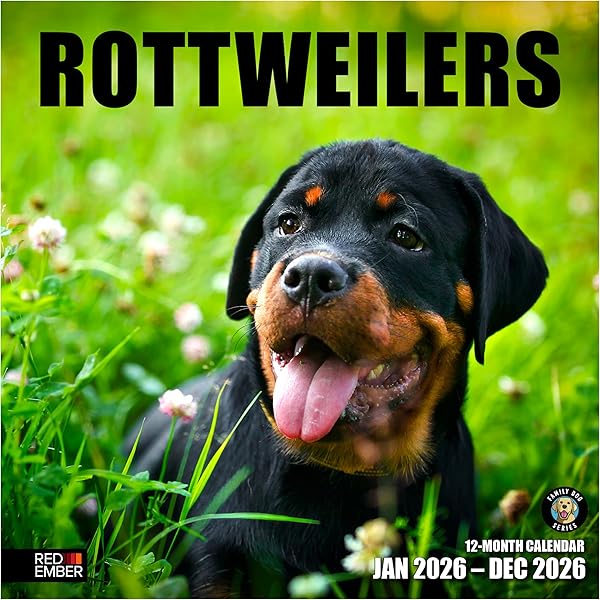 thumbnail image 2 of Rottweiler Puppies Calendar 2026: Monthly Wall Calendar With Notes 2 of 11