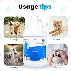Oxydent Premium Pet Dental Care Solution - Pet