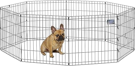 exercise pen amazon
