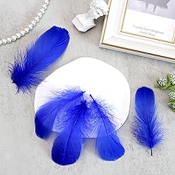 300pcs Blue Feathers 2-3 Inches Bulk Feathers for