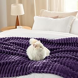 Bedsure GentleSoft Purple Fleece Blanket for Couch