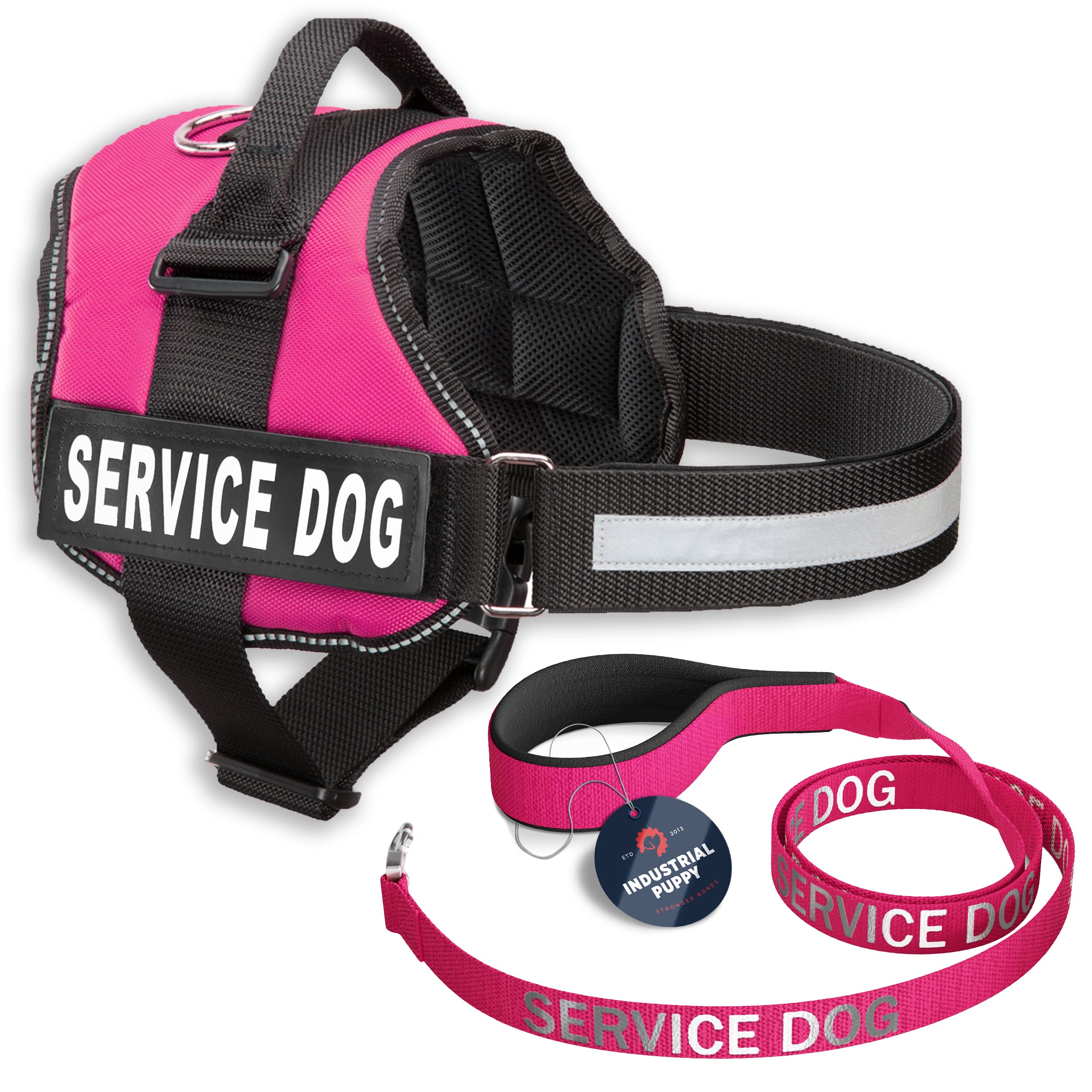 Service Dog Vest with Hook and Loop Straps & Matching Leash Set - Harnesses from XXS to XXL - Service Dog Harness Features Reflective Patch and Comfortable Mesh Design (Pink, XXS)