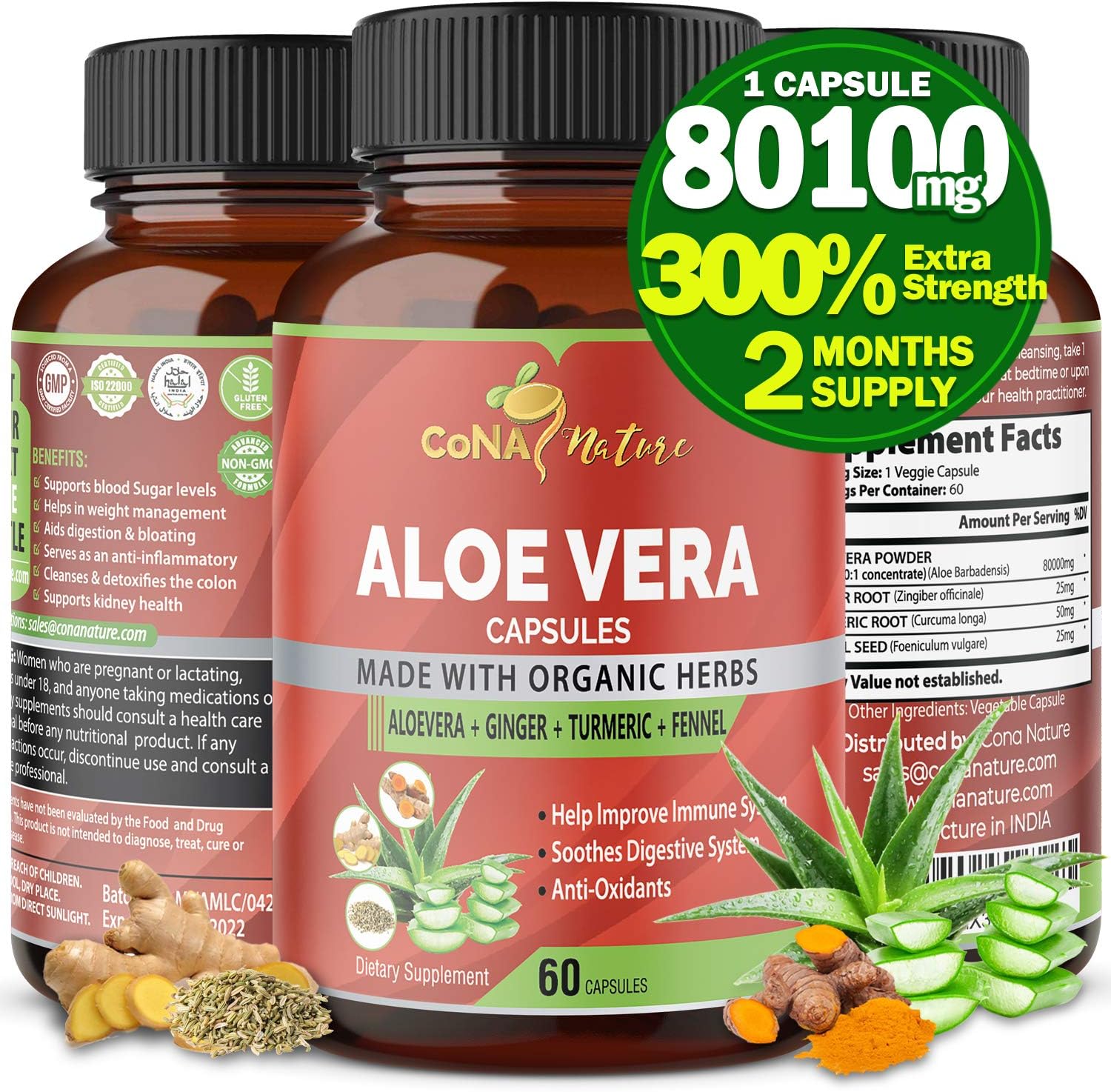 Organic Aloe Vera Capsules 80100MG with Turmeric, Ginger, Fennel | Support Immune and Digestion System | Natural Anti-Inflammatory, Antioxidants| Multi Nutrients, Vitamins, Minerals Supplement Extract