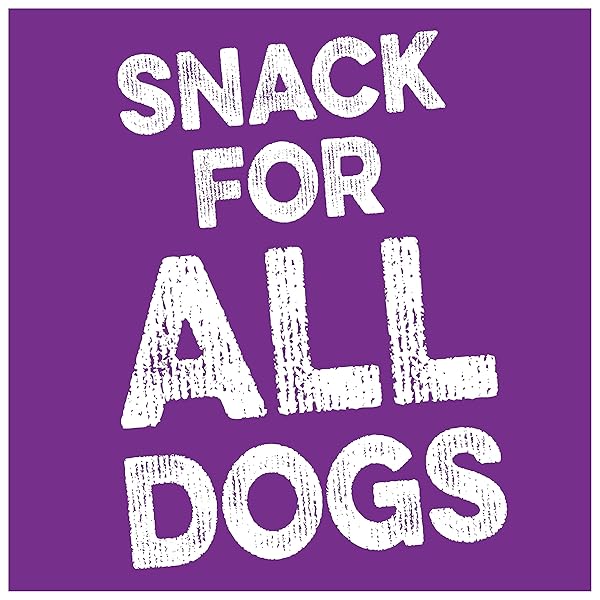 DINGO RINGO-O-O 5 COUNT, RING-SHAPED, RAWHIDE CHEW FOR ALL DOGS