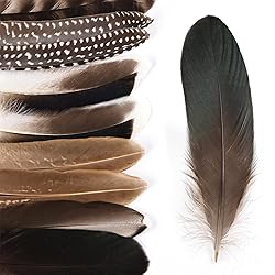 MehelloFeather Natural Pheasant Feathers 12Pcs Bulk