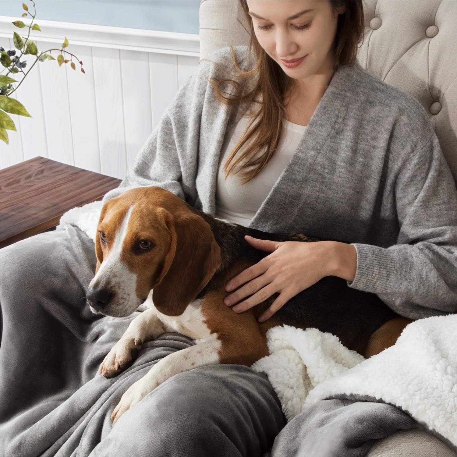 BEDSURE Sherpa Fleece Blanket Throw Size Grey Plush Throw Blanket Fuzzy Soft Blanket Microfiber: Home & Kitchen