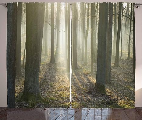 Amazon Com Lunarable Forest Curtains Foggy Oak Forest In Autumn Morning Sunbeams Entering From The Back Image Print Living Room Bedroom Window Drapes 2 Panel Set 108 X 108 Tan And White Home