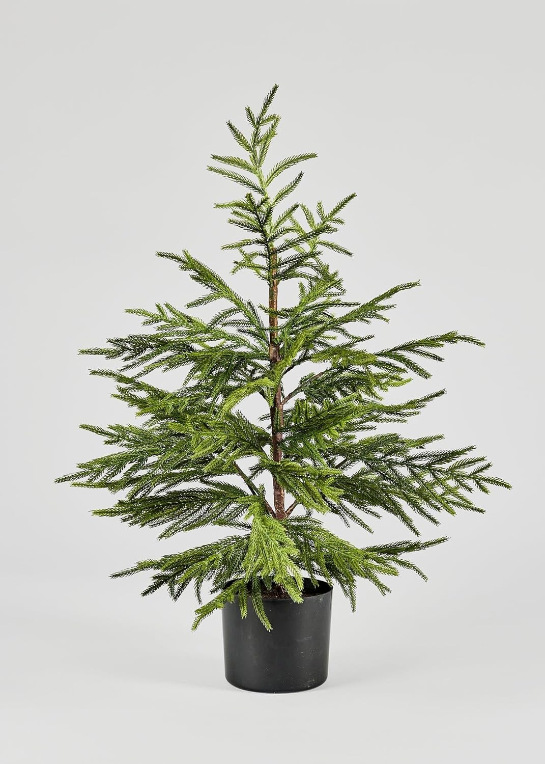 Trees - Afloral Artificial Norfolk Pine Tree - 36