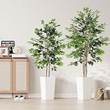 YOLEO 5.5ft Ficus Tree with White Planter Indoor Decorative Plant view 7